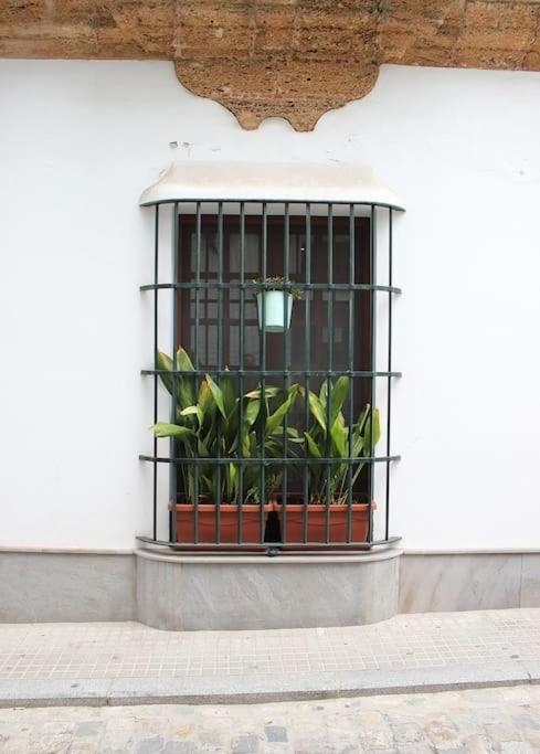 Fancy Apartment In A Historic House, Chiclana City Center By C. Dreams Chiclana de la Frontera Zewnętrze zdjęcie