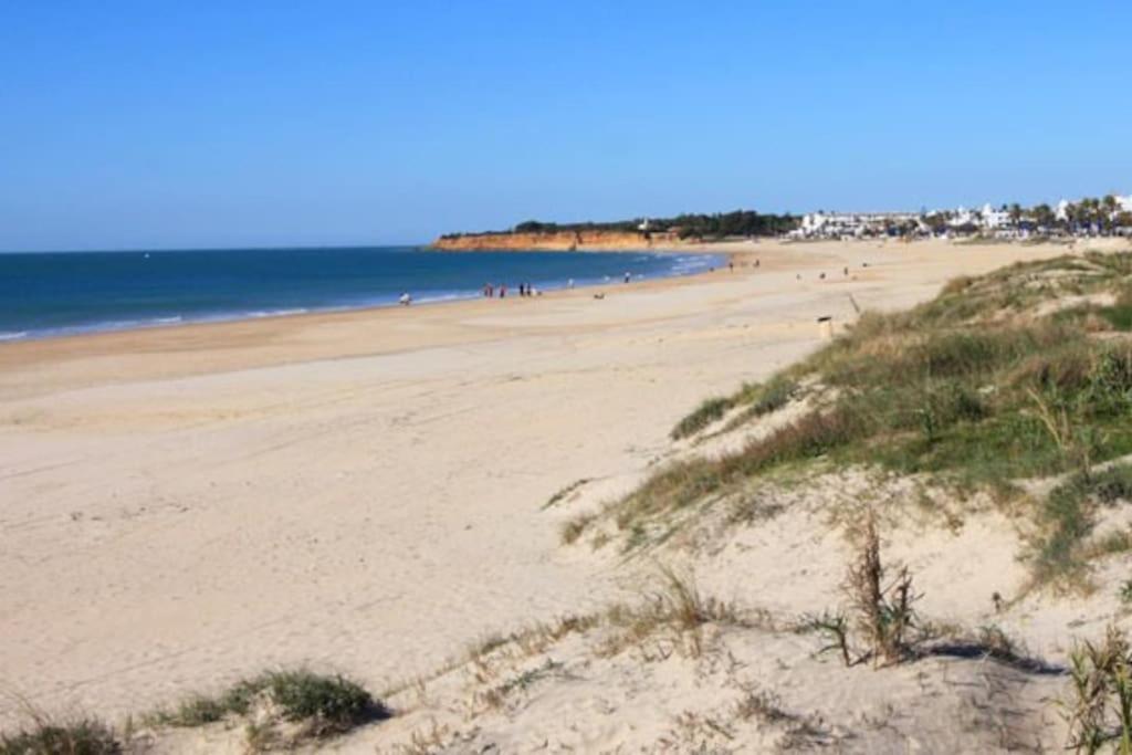 Fancy Apartment In A Historic House, Chiclana City Center By C. Dreams Chiclana de la Frontera Zewnętrze zdjęcie